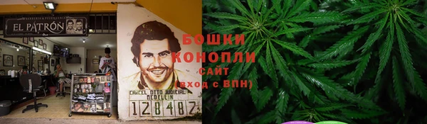 прущие грибы Дмитриев