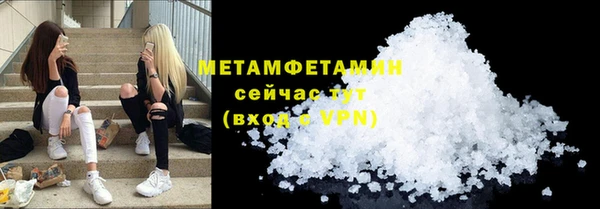 прущие грибы Дмитриев