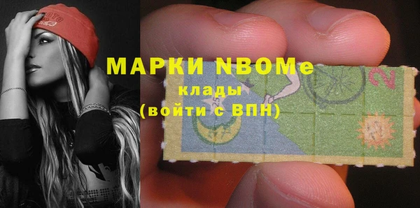 прущие грибы Дмитриев
