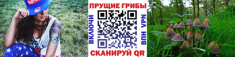 Купить закладки  Коряжма  Галлюциногенные грибы GOLDEN TEACHER 